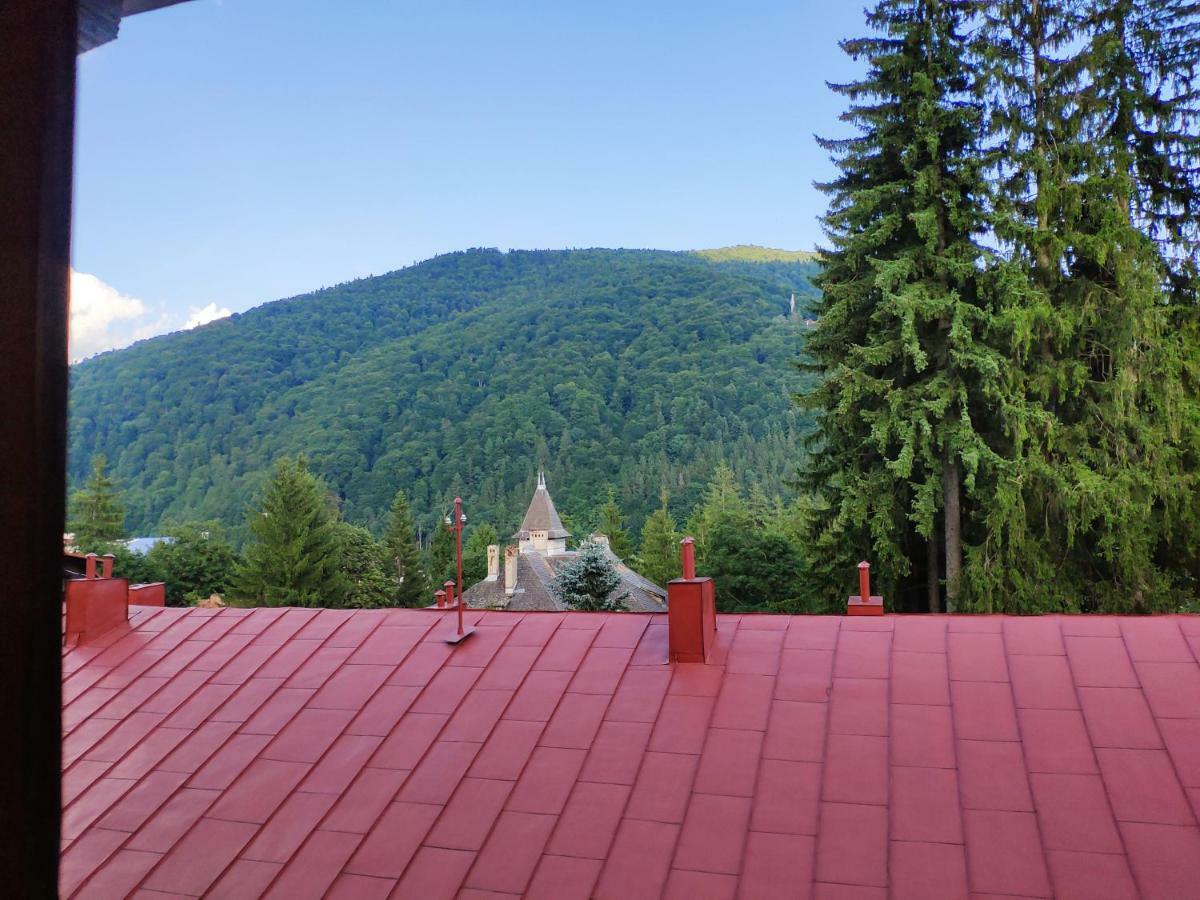 Cozy Loft At Teleferic Apartman Sinaia Kültér fotó